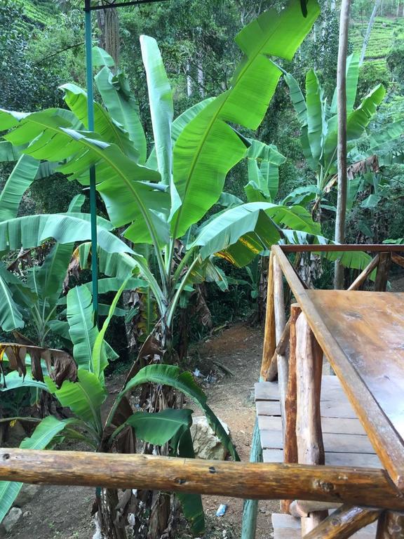 Silent Oasis Apartment Ella Luaran gambar